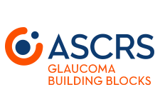 Glaucoma Building Blocks
